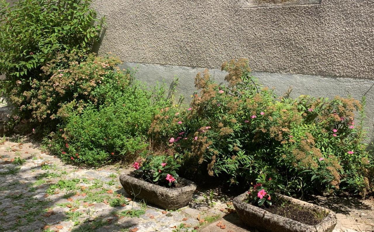 Saint-Léonard-de-Noblat La Cour Pavee, T2 Lumineux, Cosy, Confort 55 M2 מראה חיצוני תמונה